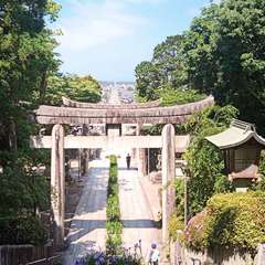 投稿日:2021年5月31日 写真