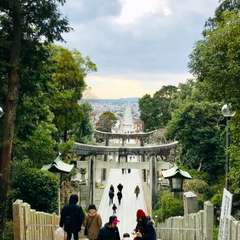 投稿日:2018年2月3日 写真