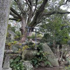 投稿日:2024年2月1日 写真