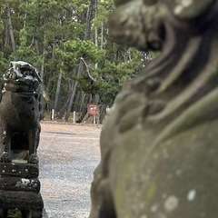 投稿日:2023年11月28日 写真