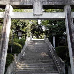 投稿日:2019年11月11日 写真