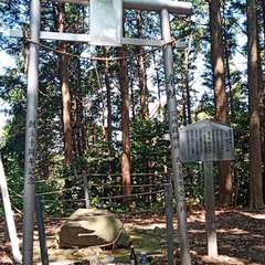 投稿日:2021年5月31日 写真