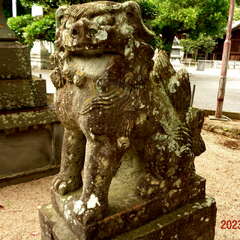 投稿日:2025年10月6日 写真