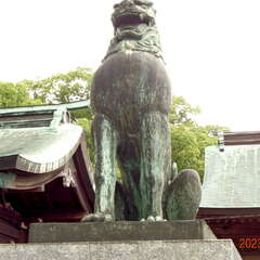 投稿日:2025年10月6日 写真