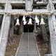 岡見神社