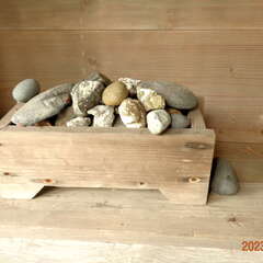 大年神社(投稿日:2025年10月6日) 写真