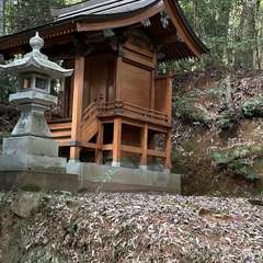 天満神社(投稿日:2023年8月17日) 写真