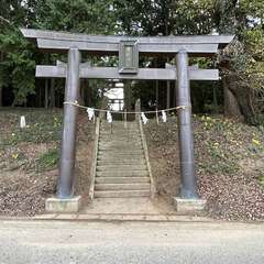 銅鳥居、下の石段が古いです(投稿日:2023年11月16日) 写真
