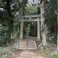 神崎神社(投稿日:2024年3月8日) 写真