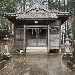 雨に濡れる拝殿(投稿日:2024年1月19日) 写真
