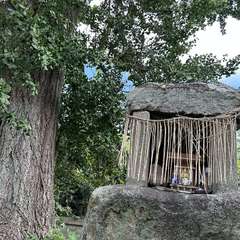 戸渡神社(投稿日:2023年8月12日) 写真