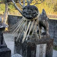 2024年度二十七社目の参拝となります(投稿日:2024年1月17日) 写真