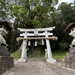 春日神社(投稿日:2024年5月8日) 写真