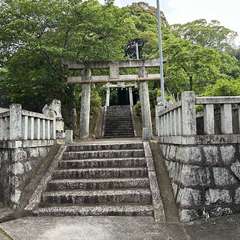 飯土井神社(投稿日:2024年5月8日) 写真