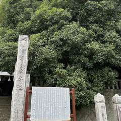 岩屋神社(投稿日:2023年8月12日) 写真