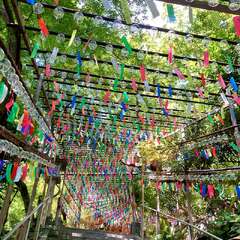 風鈴まつり(投稿日:2025年8月17日) 写真