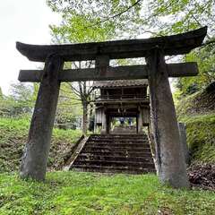 写真