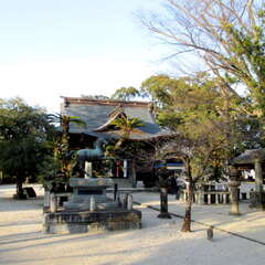 八坂神社(投稿日:2025年6月30日) 写真