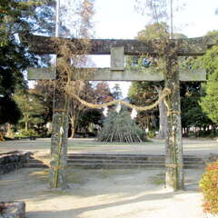 八幡神社(投稿日:2025年6月30日) 写真