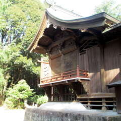 八幡神社(投稿日:2025年6月30日) 写真