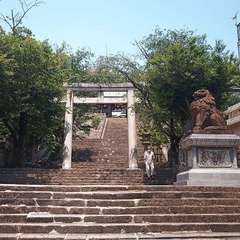 投稿日:2021年6月2日 写真