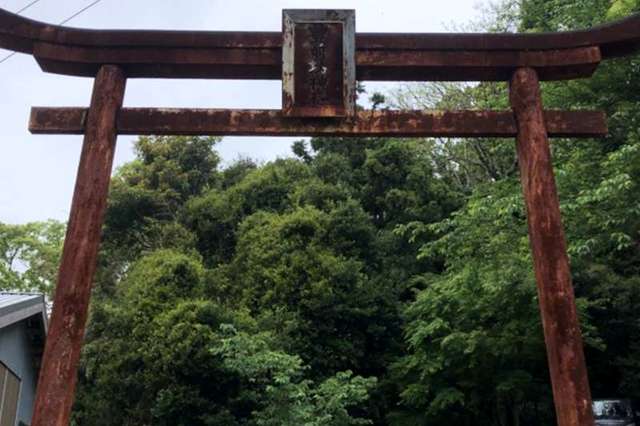 写真