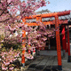 松嶋稲荷神社