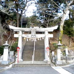 宇都宮神社(投稿日:2025年8月7日) 写真