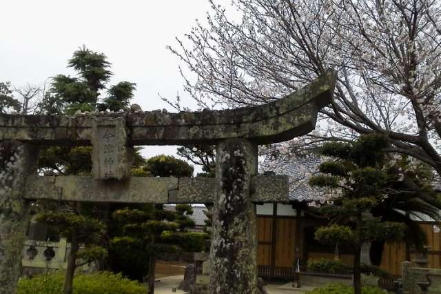 写真