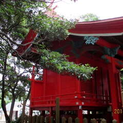 写真