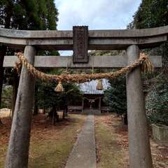 写真