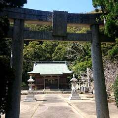 写真