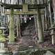 大原野神社