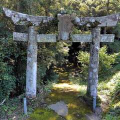 大山神社(投稿日:2025年10月30日) 写真
