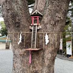 投稿日:2022年11月11日 写真