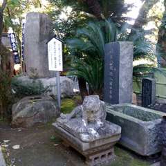 投稿日:2019年11月19日 写真