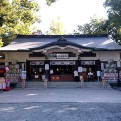 投稿日:2019年11月19日 写真