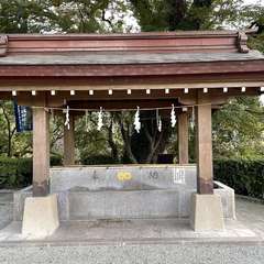 投稿日:2022年11月11日 写真