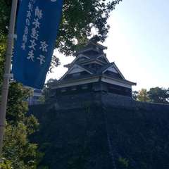 投稿日:2019年11月19日 写真