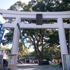 投稿日:2019年11月19日 写真