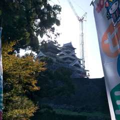 投稿日:2019年11月19日 写真