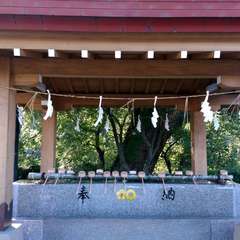 投稿日:2019年11月19日 写真