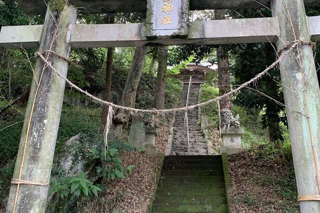 写真