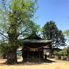 小天天子宮(投稿日:2018年4月11日) 写真