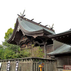 疋野神社(投稿日:2025年7月28日) 写真