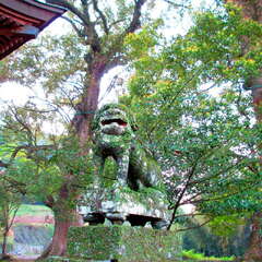 城野松尾神社(投稿日:2025年7月28日) 写真