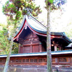 大宮神社(投稿日:2025年7月28日) 写真