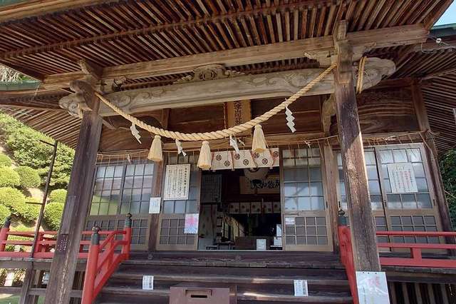 写真