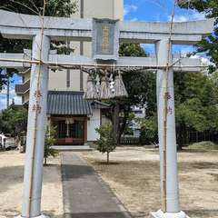 写真