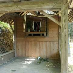 谷口神社(投稿日:2023年5月10日) 写真